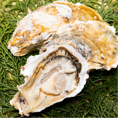 広島牡蠣